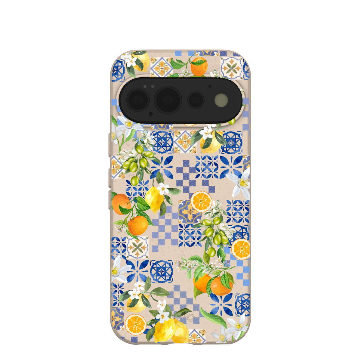 Seashell Amalfi Fruits Google Pixel 11 Pro Case