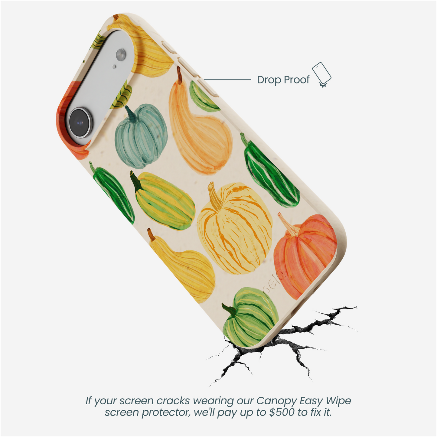 Seashell Autumn Garden iPhone Air Case