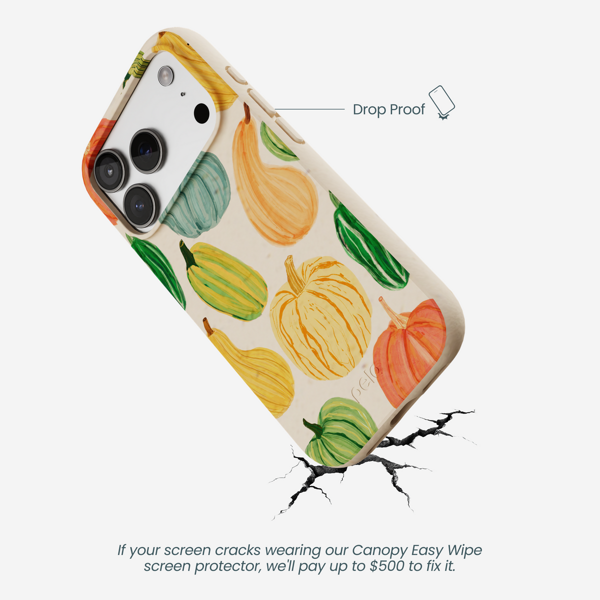 Seashell Autumn Garden iPhone 17 Pro Case