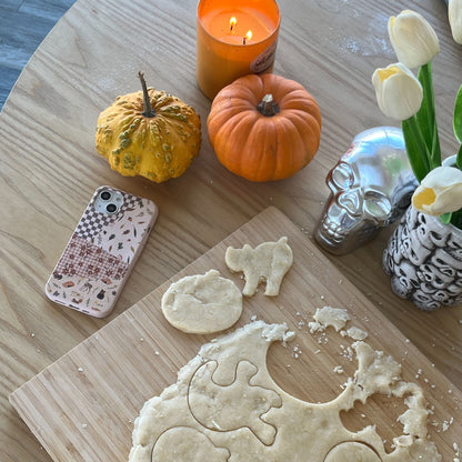 Seashell Autumn Quilt iPhone Air Case