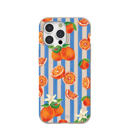Seashell Blood Orange Stripes iPhone 15 Pro Max Case