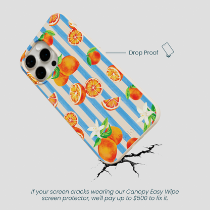 Seashell Blood Orange Stripes iPhone 15 Pro Max Case