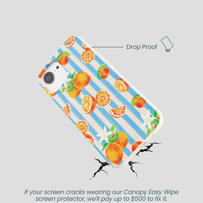 Seashell Blood Orange Stripes iPhone 16e/17e Case