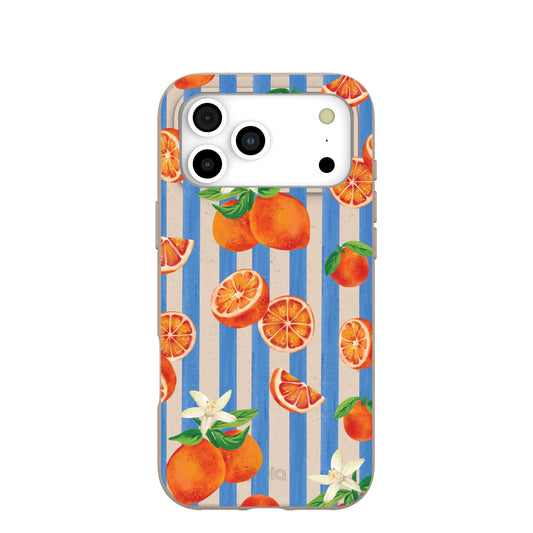 Seashell Blood Orange Stripes iPhone 17 Pro Max Case