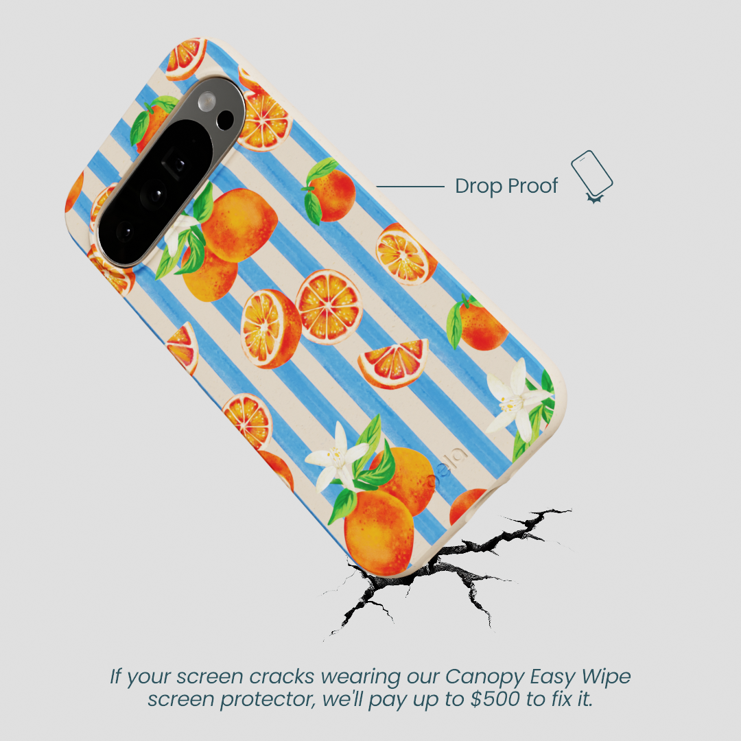 Seashell Blood Orange Stripes Google Pixel 10 Pro XL Case