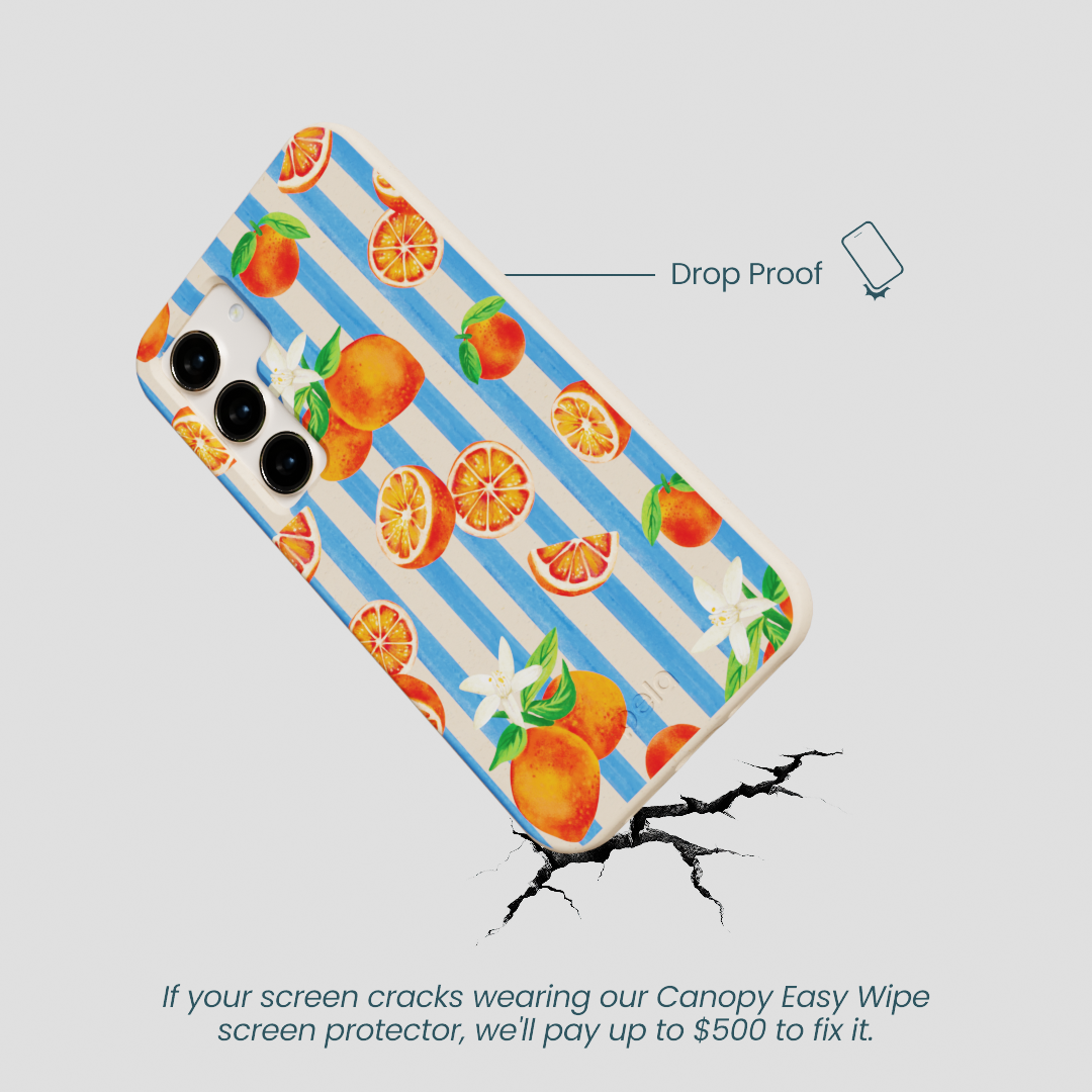 Seashell Blood Orange Stripes Samsung Galaxy S24 Case