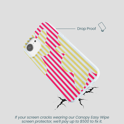 Powder Blue Blooming Stripes iPhone 16e/17e Case