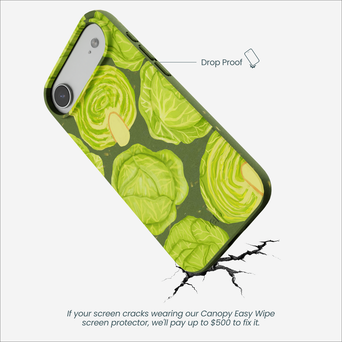 Forest Floor Cabbage Portraits iPhone Air Case