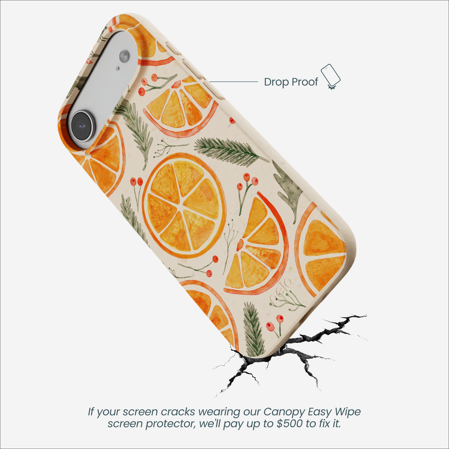 Seashell Citrus Cheer iPhone Air Case