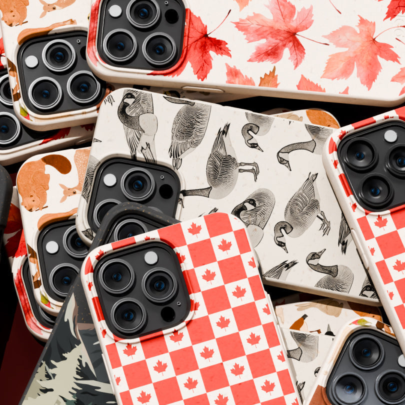 London Fog Canadian Geese Google Pixel 10a Case