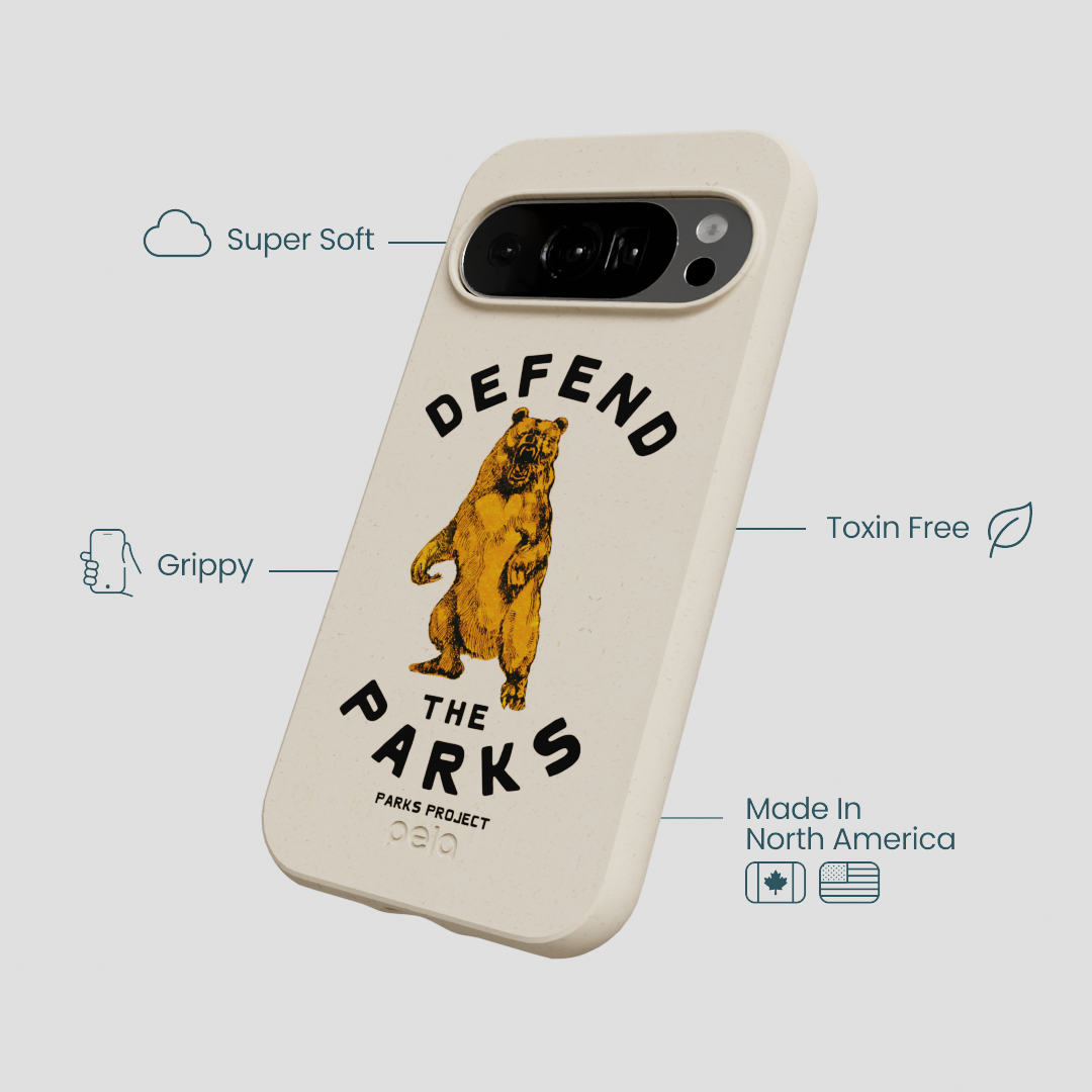 London Fog Defend the Parks Google Pixel 10/10 Pro Case