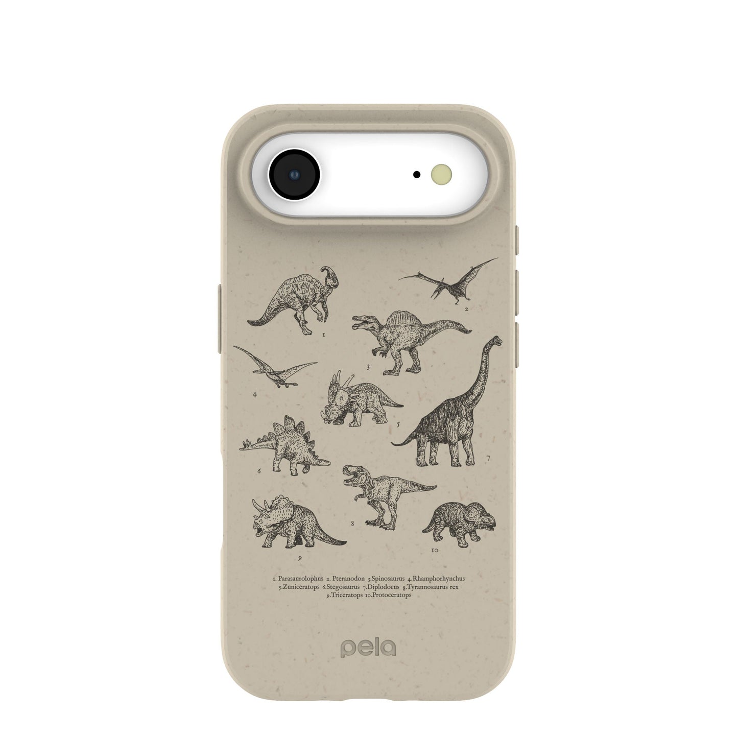 London Fog Dinosaurology iPhone Air Case