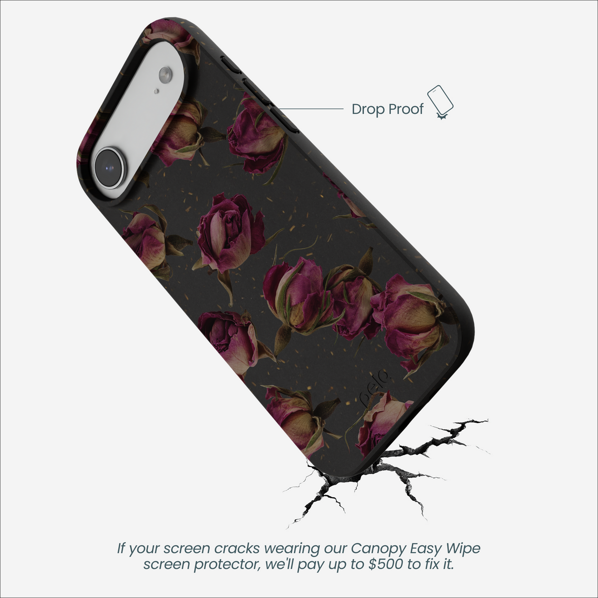 Black Dried Rosebuds iPhone Air Case