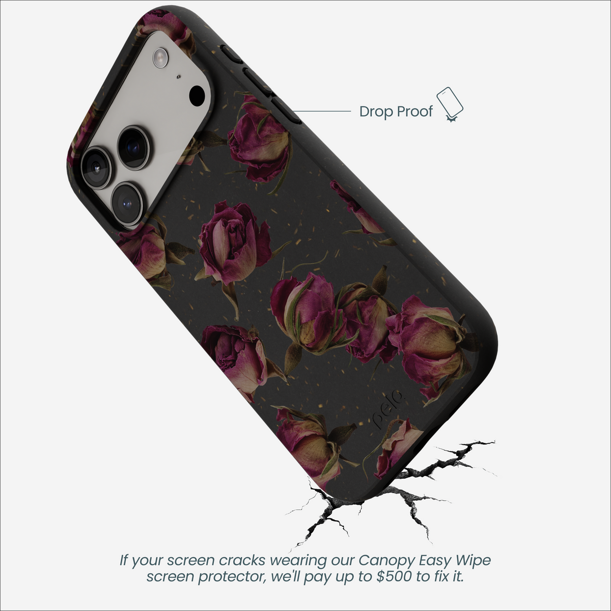 Black Dried Rosebuds iPhone 17 Pro Max Case