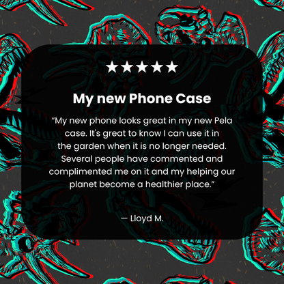 Black Fossilized Google Pixel 10/10 Pro Case