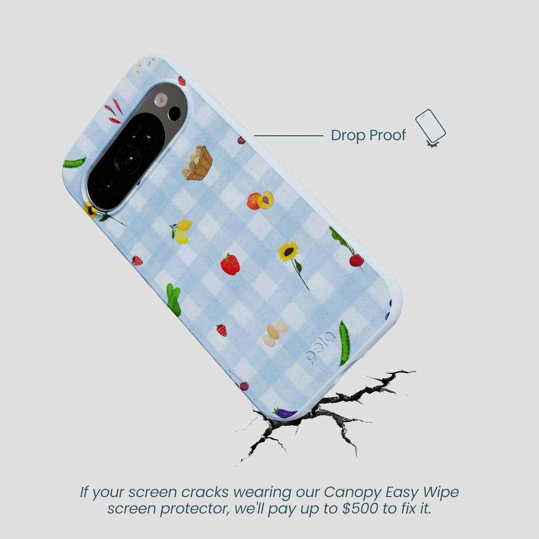 Powder Blue Gingham Farmhouse Google Pixel 10/10 Pro Case
