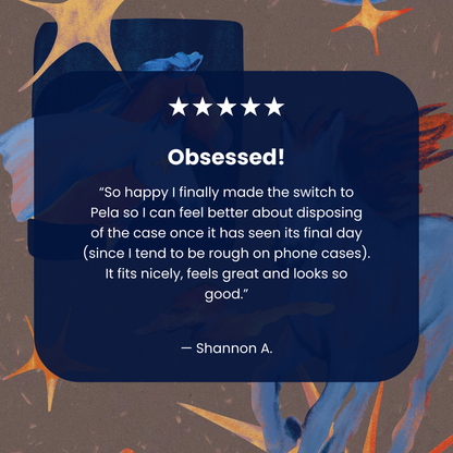 Chocolate Brown Horse Dreamers iPhone 12 Pro Max Case