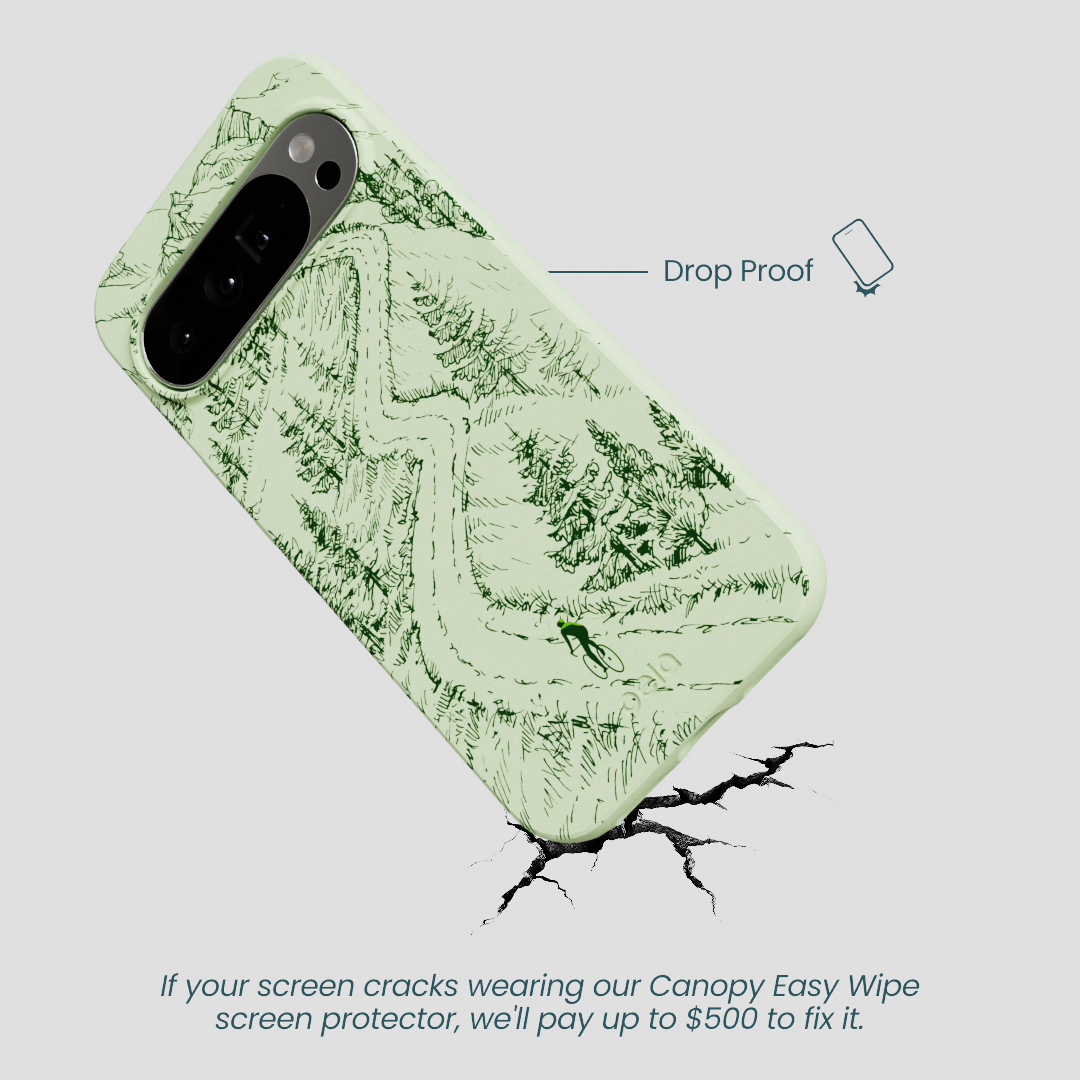 Sage Green Into the Mountains Google Pixel 10 Pro XL Case
