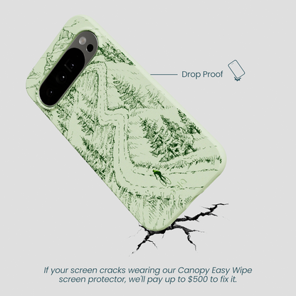 Sage Green Into the Mountains Google Pixel 10 Pro XL Case