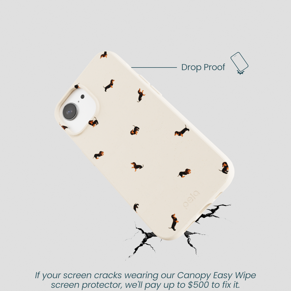 Seashell Lil Dachshunds iPhone 16e/17e Case