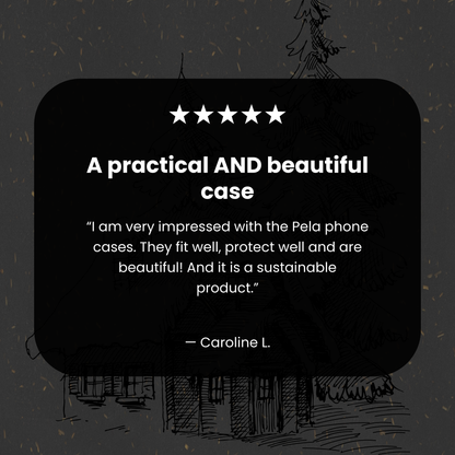 Black Lone Cabin Google Pixel 10/10 Pro Case