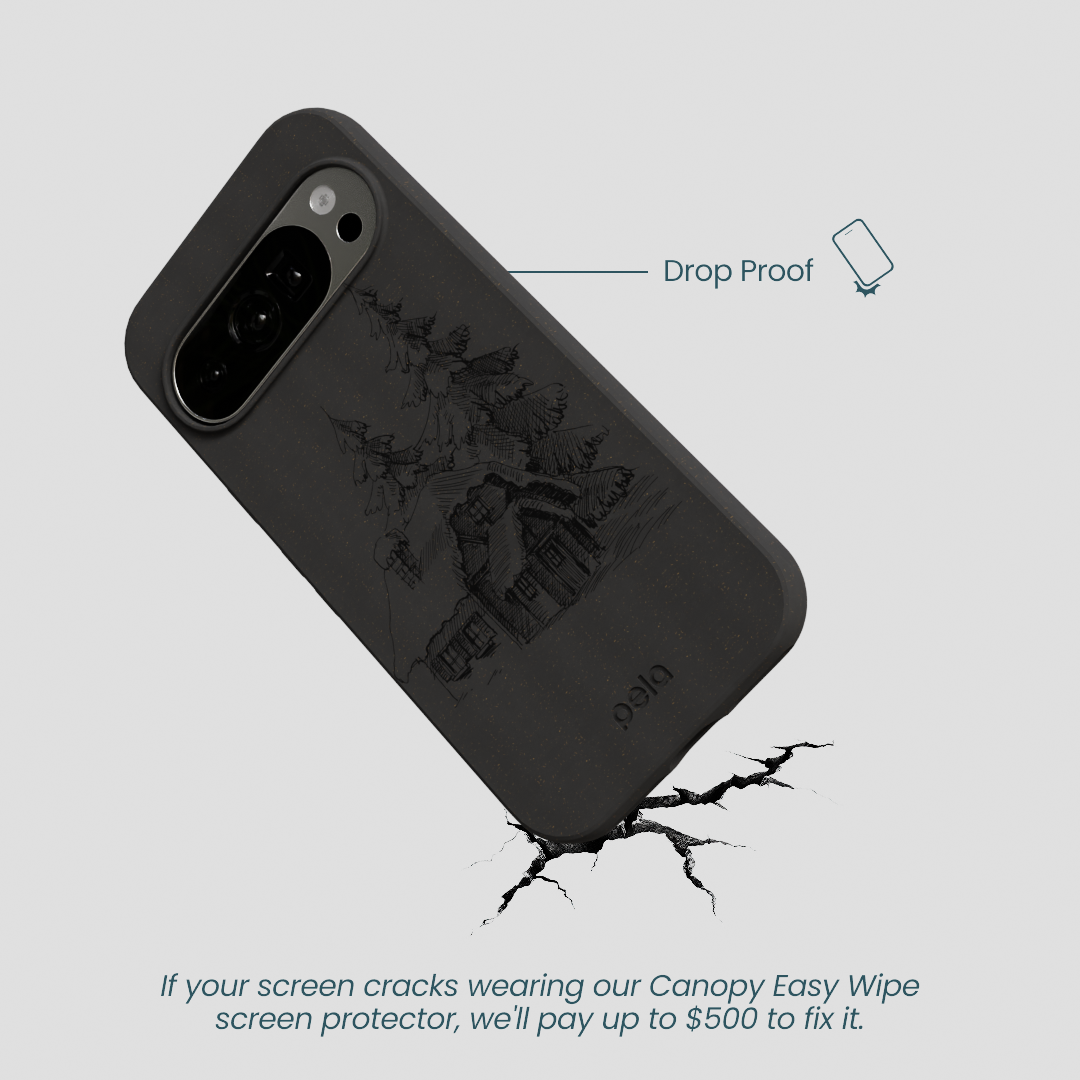 Black Lone Cabin Google Pixel 10/10 Pro Case
