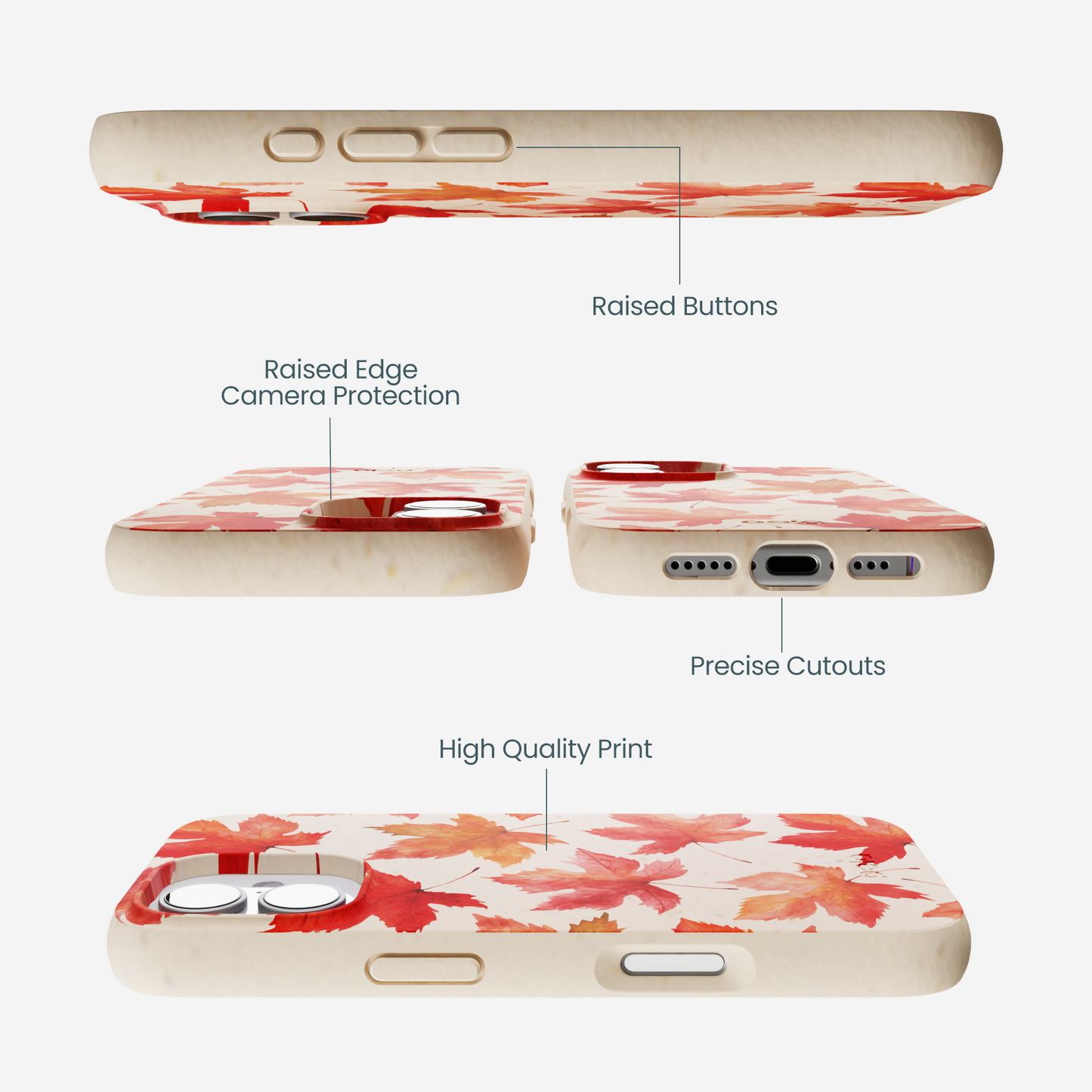 Seashell Maple Leaf iPhone 17 Case