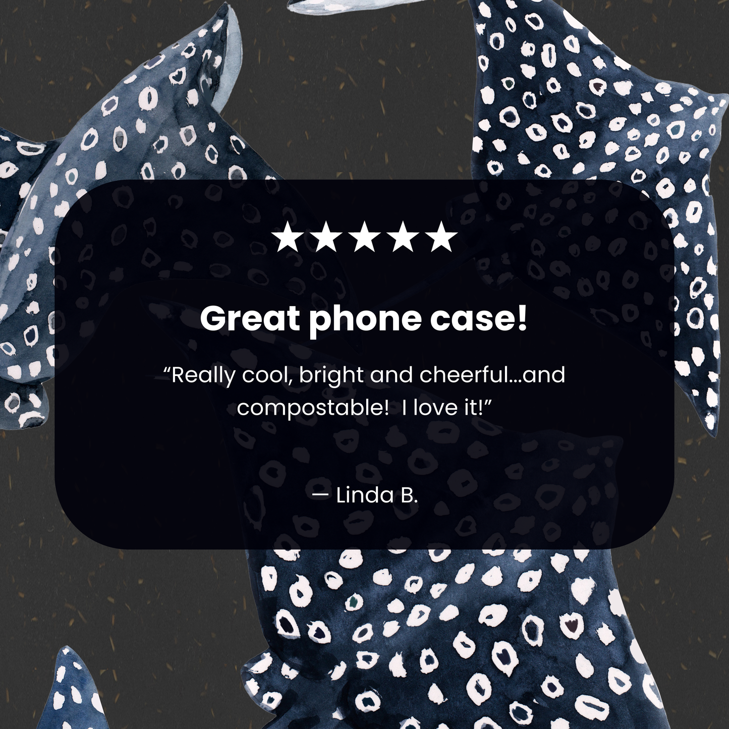 Black Midnight Rays iPhone 16e/17e Case