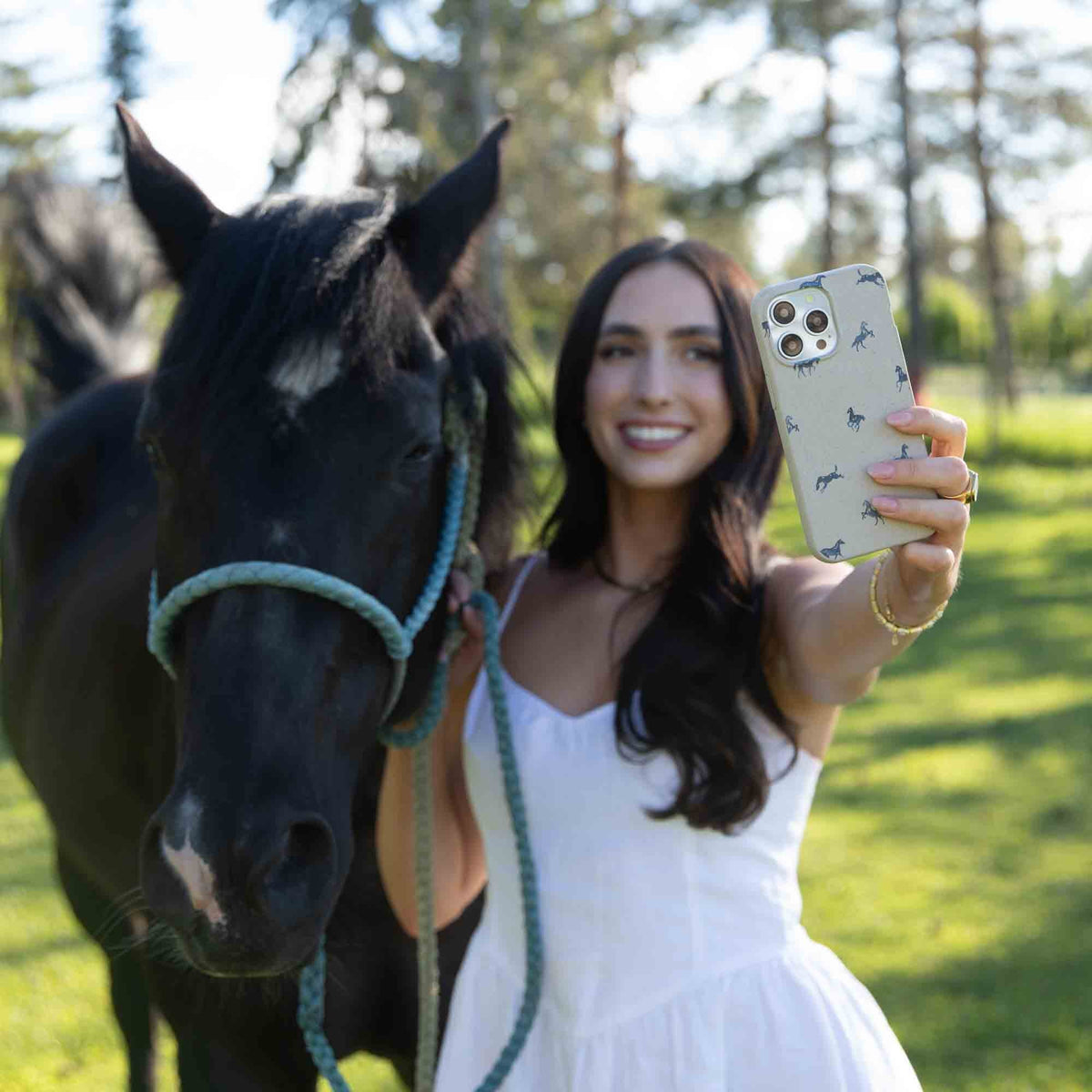 London Fog Mini Horses iPhone 17 Pro Max Case