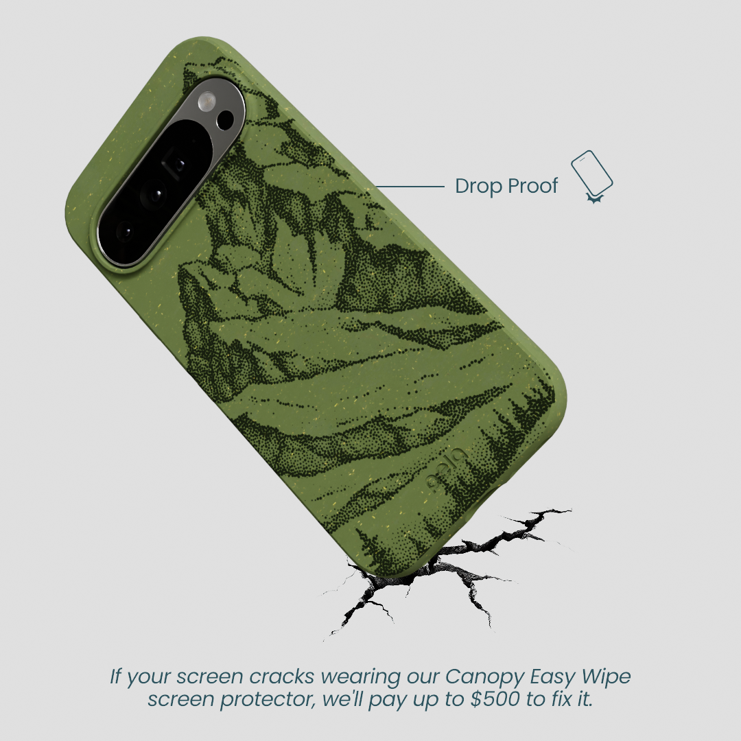 Forest Floor Quiet Climb Google Pixel 10 Pro XL Case