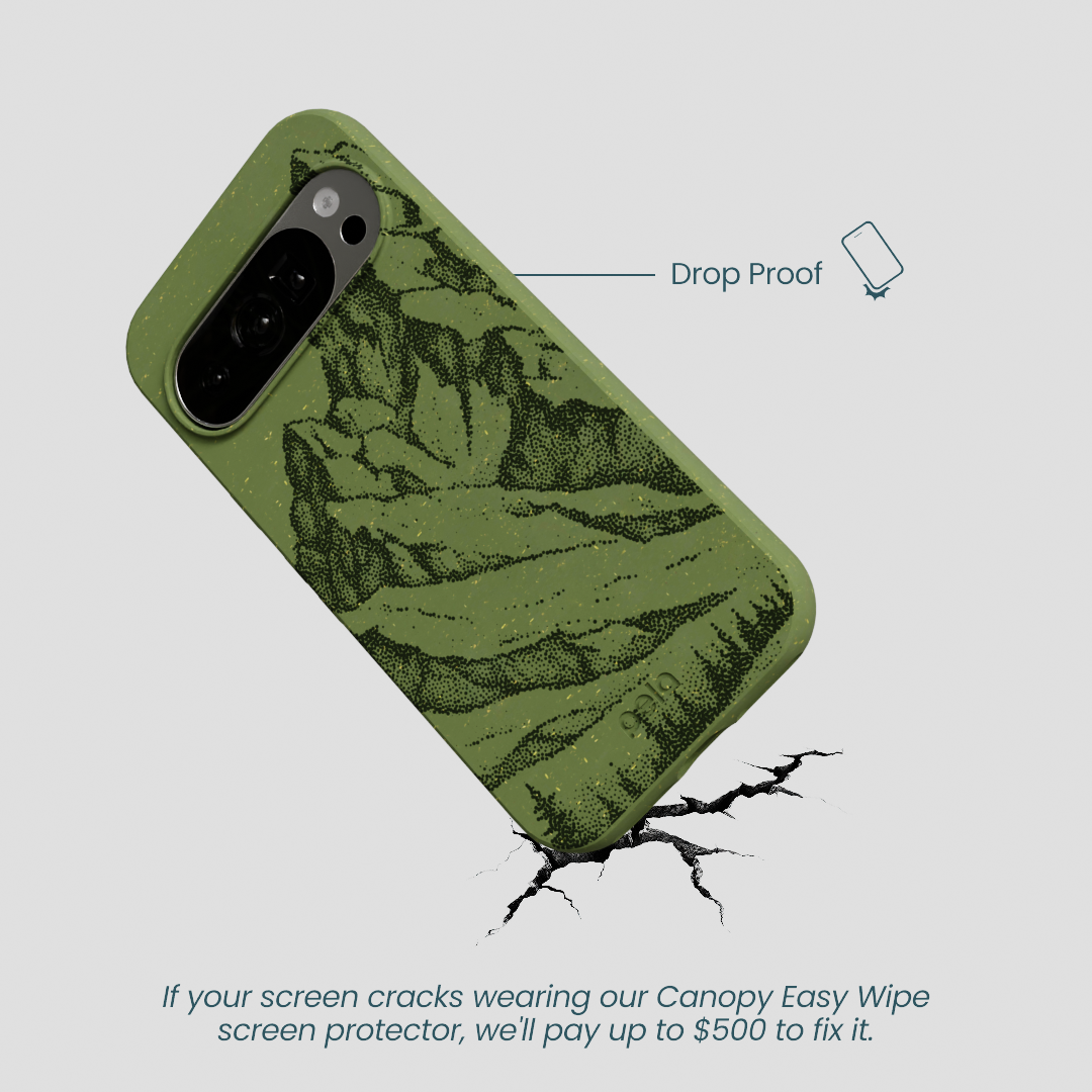 Forest Floor Quiet Climb Google Pixel 10/10 Pro Case