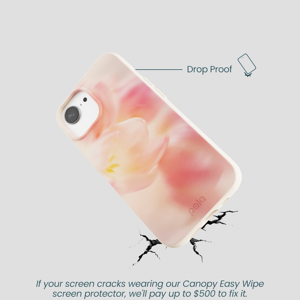 Seashell Radiate iPhone 16e/17e Case