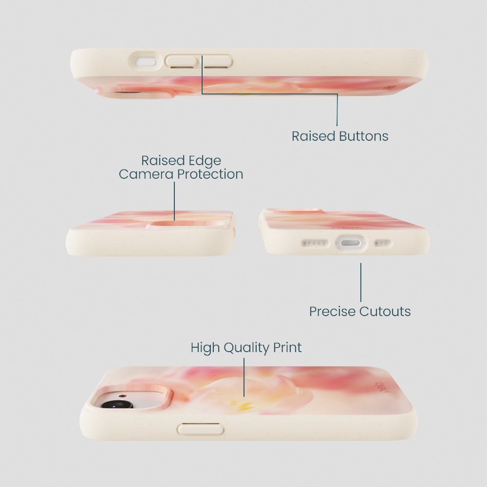 Seashell Radiate iPhone 16e/17e Case