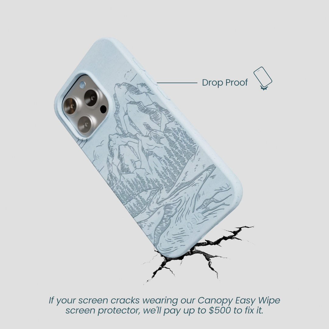 Powder Blue Rockies iPhone 16 Pro Case