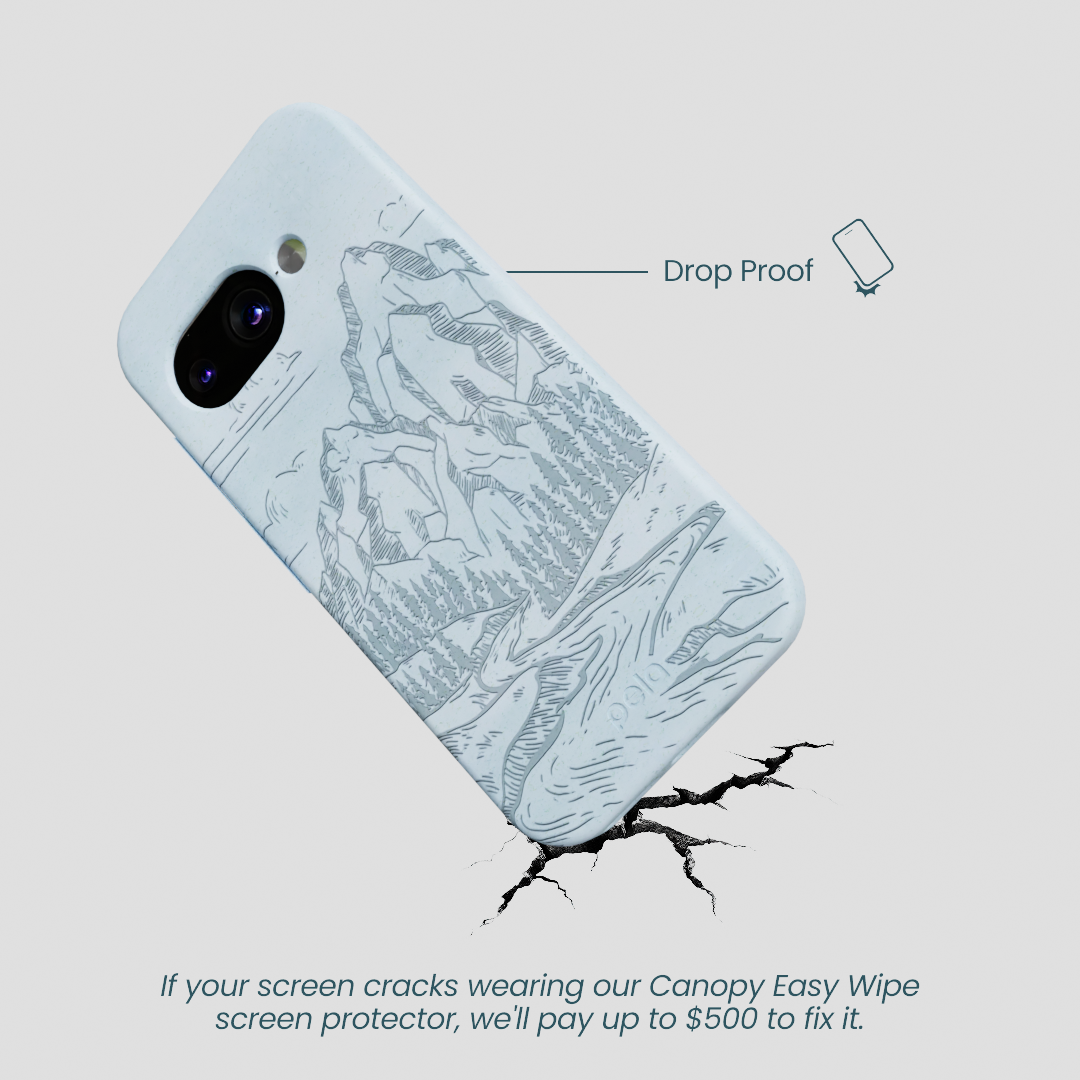 Powder Blue Rockies Google Pixel 9a Case