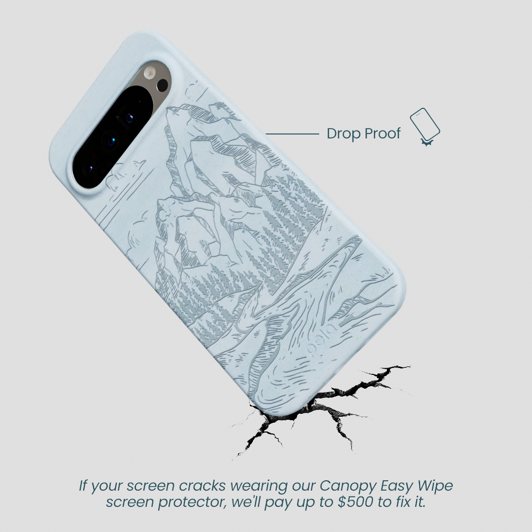 Powder Blue Rockies Google Pixel 9 Pro XL Case