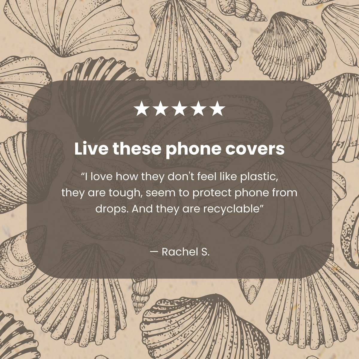 Seashell Seashore iPhone 17 Pro Case