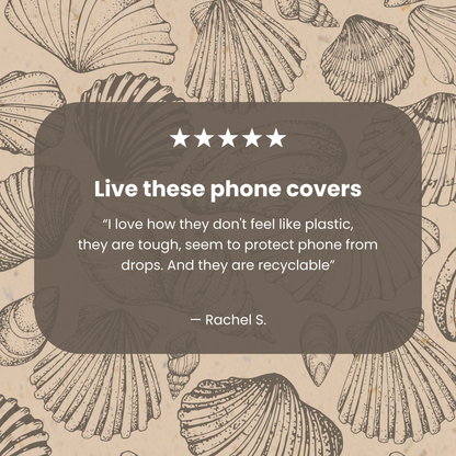 Seashell Seashore iPhone 17 Pro Case