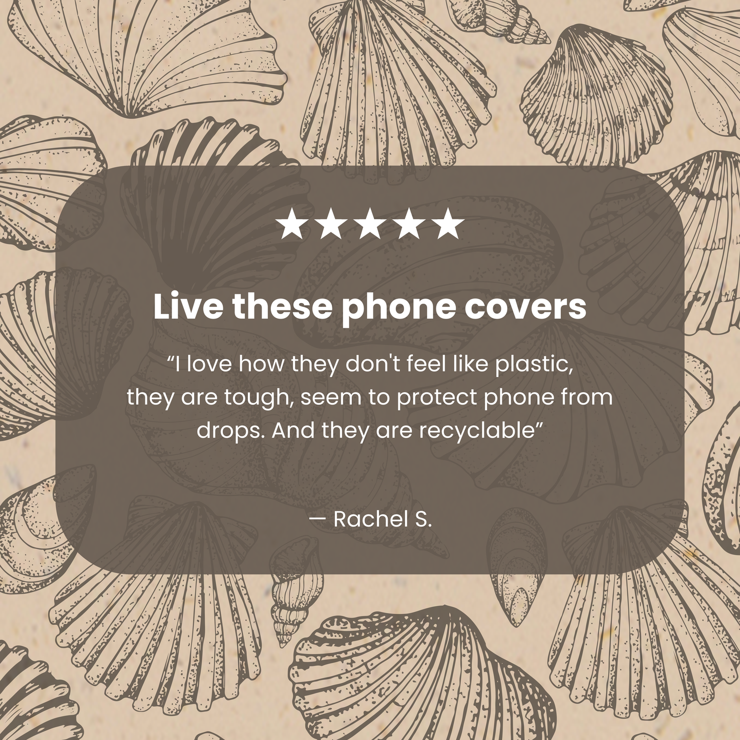 Seashell Seashore Google Pixel 10 Pro XL Case