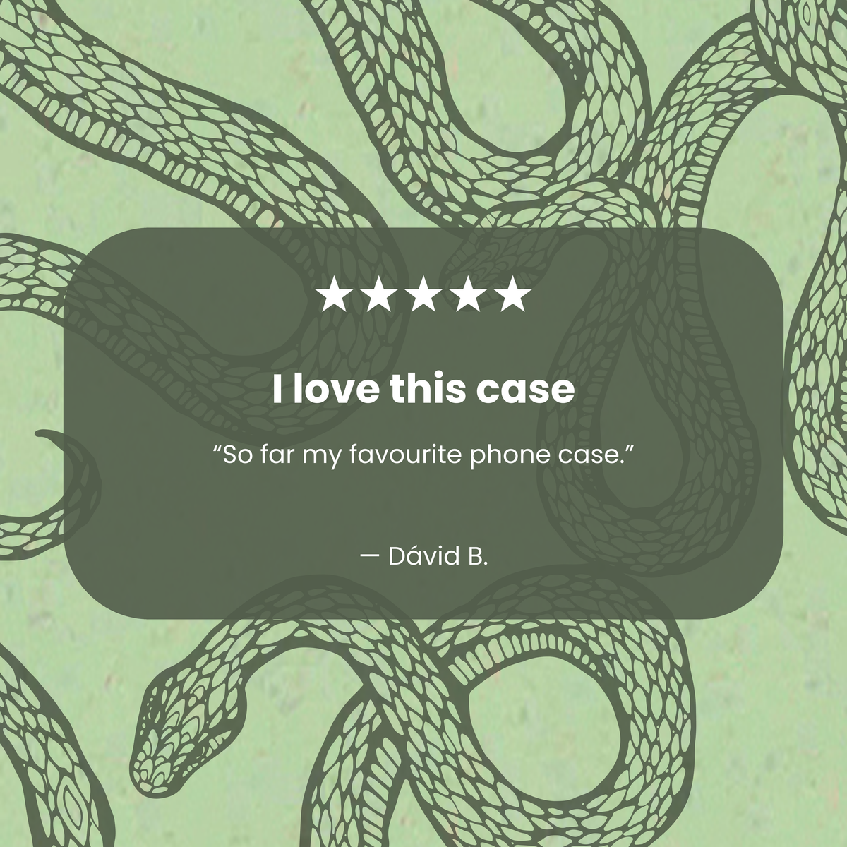 Sage Green Snaky iPhone Air Case