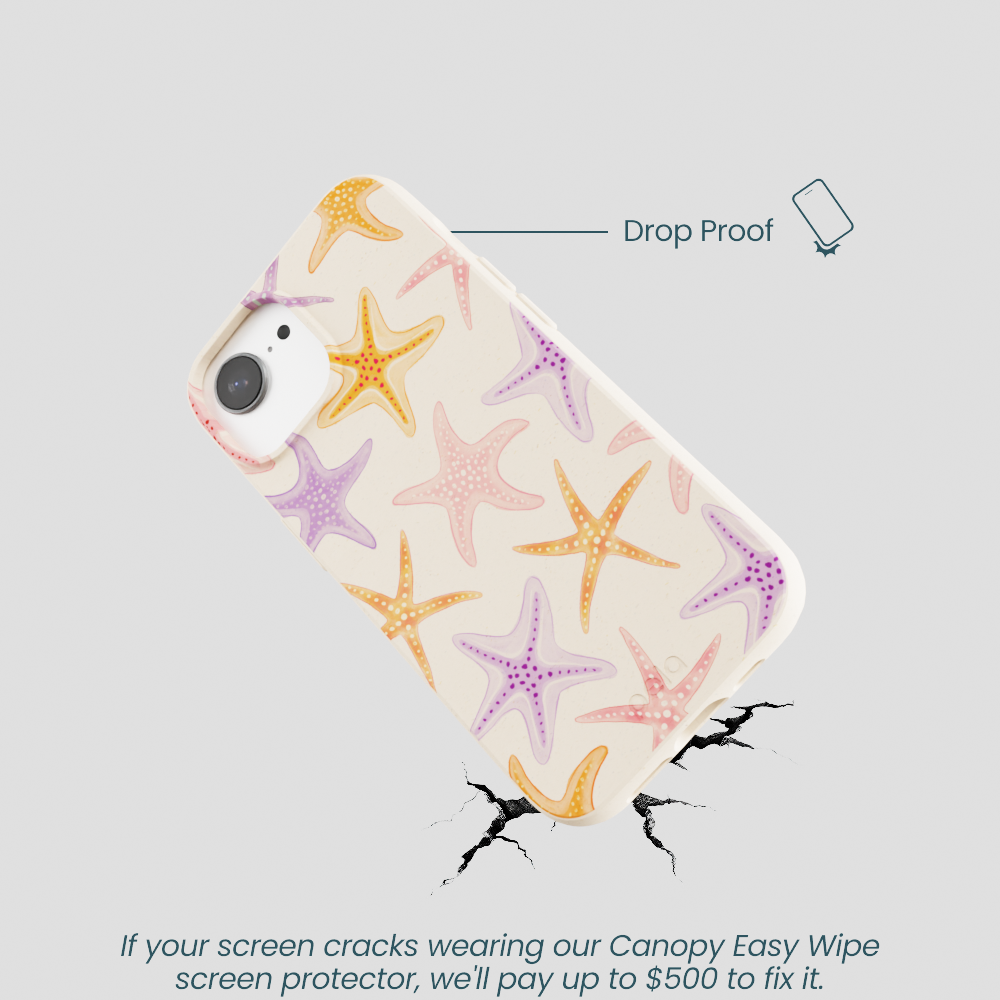 Seashell Starfish Parade iPhone 16e/17e Case