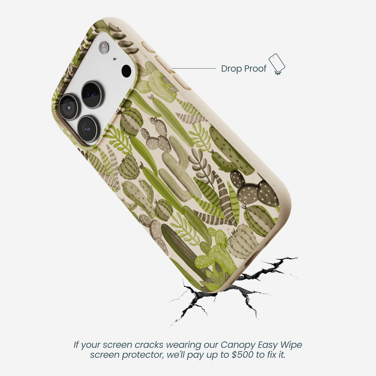Seashell Succulent Cacti iPhone 17 Pro Case