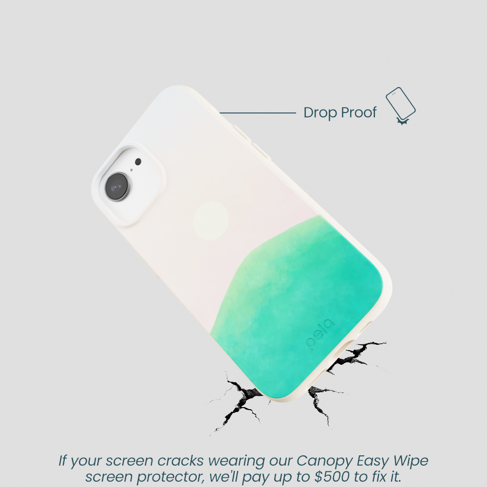 Seashell Sunset iPhone 16e/17e Case