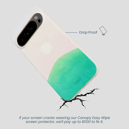 Seashell Sunset Google Pixel 10 Pro XL Case