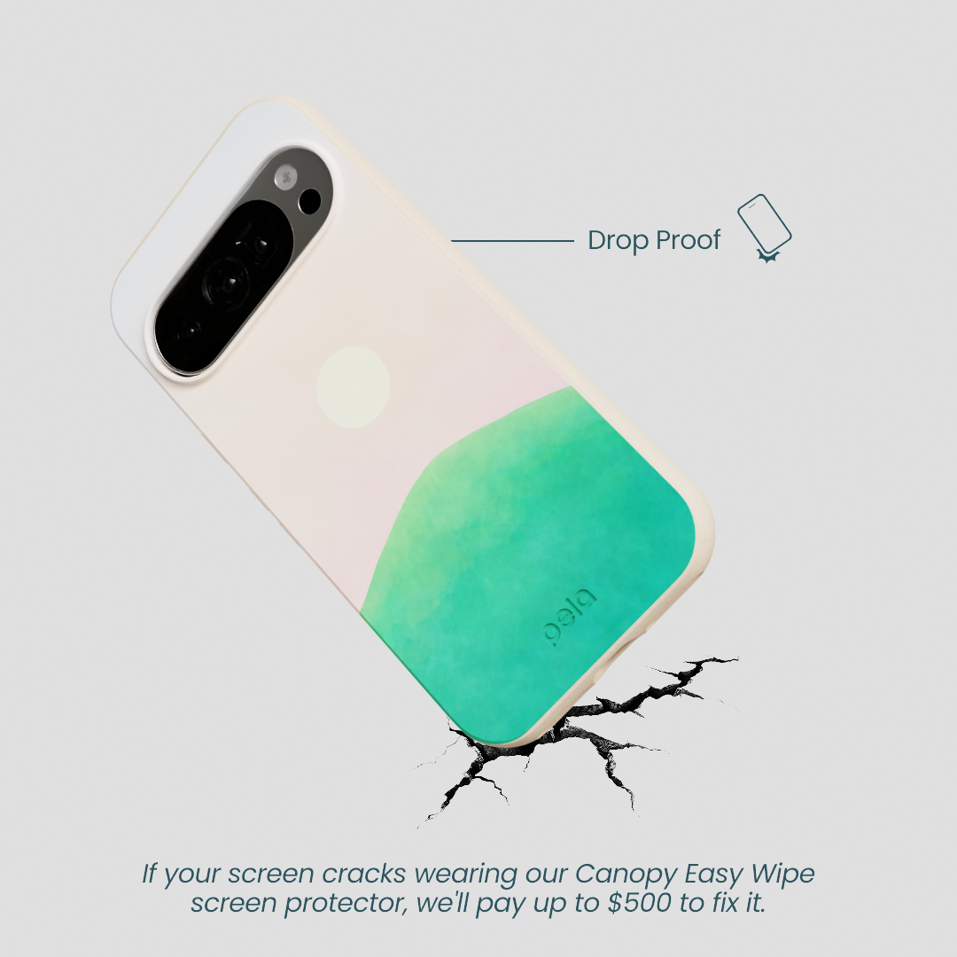 Seashell Sunset Google Pixel 10/10 Pro Case