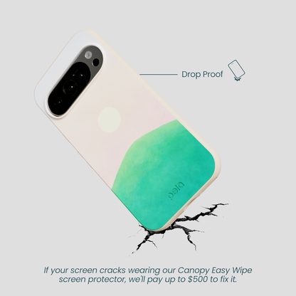 Seashell Sunset Google Pixel 10/10 Pro Case