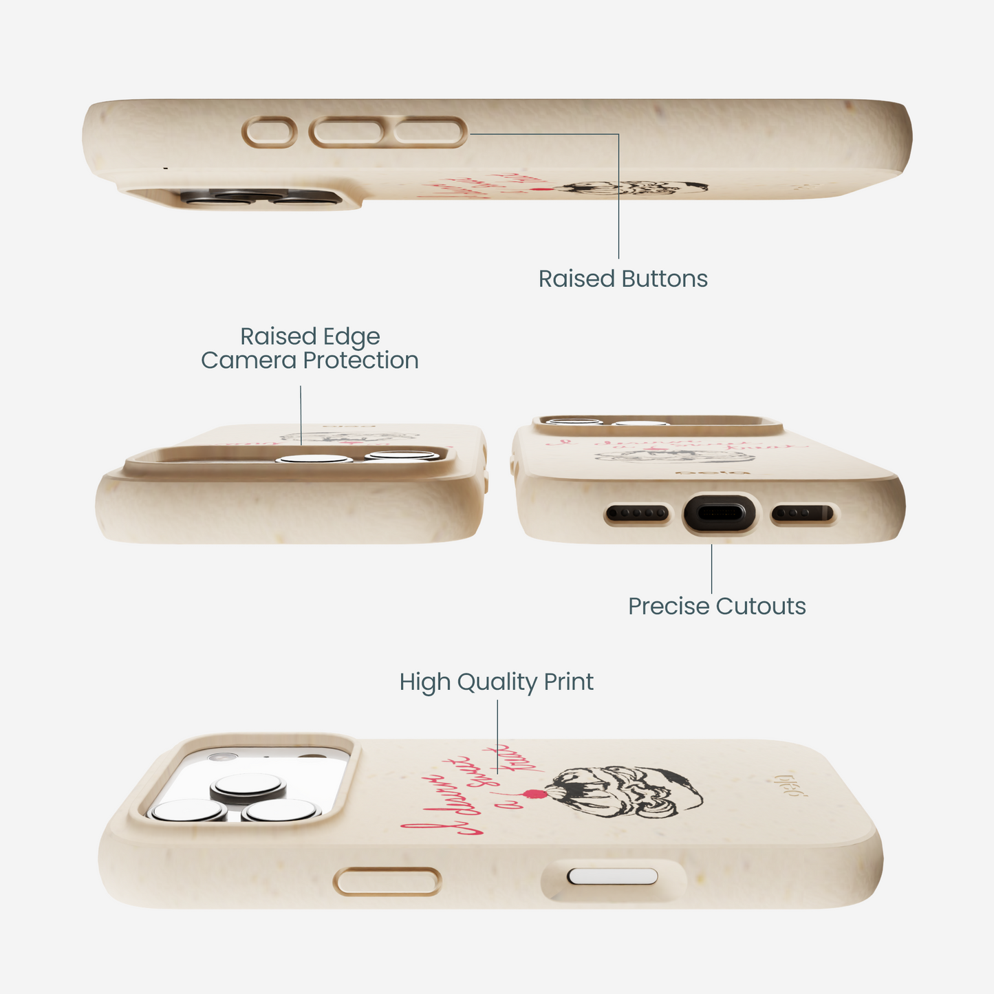 Seashell Sweet Treat iPhone 17 Pro Case