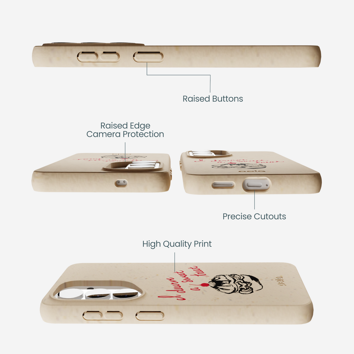 Seashell Sweet Treat Samsung Galaxy S26 Case