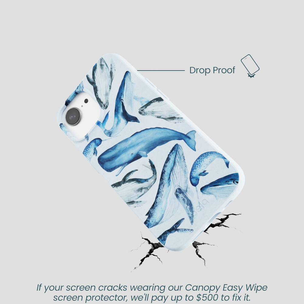 Powder Blue Whales iPhone 16e/17e Case