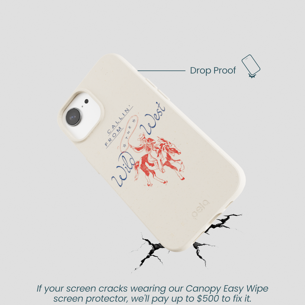 London Fog Wild West Calling iPhone 16e/17e Case